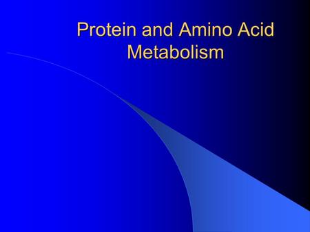 Protein and Amino Acid Metabolism