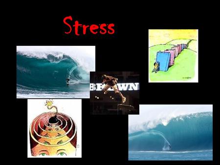 Stress. The attached picture was devised as part of a stress test developed by researchers at St. Mary's Hospital in London. It is the final picture of.