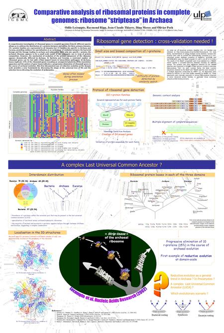 Comparative analysis of ribosomal proteins in complete genomes: ribosome “striptease” in Archaea Odile Lecompte, Raymond Ripp, Jean-Claude Thierry, Dino.