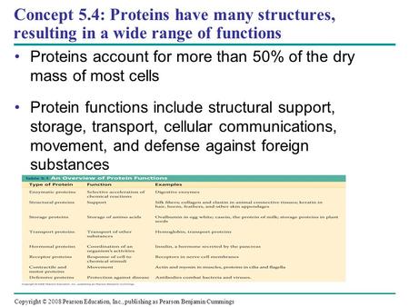 Proteins account for more than 50% of the dry mass of most cells