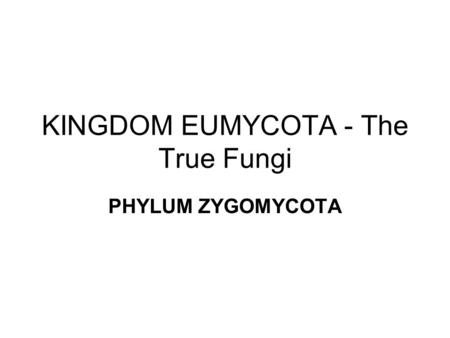 KINGDOM EUMYCOTA - The True Fungi PHYLUM ZYGOMYCOTA.