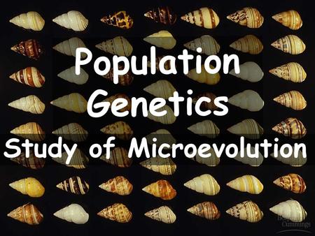 Study of Microevolution