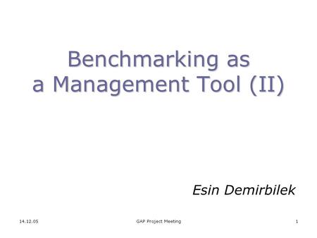 14.12.05GAP Project Meeting1 Benchmarking as a Management Tool (II) Esin Demirbilek.