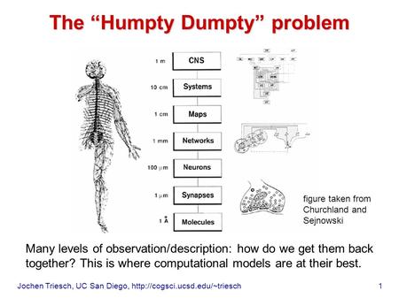 The “Humpty Dumpty” problem