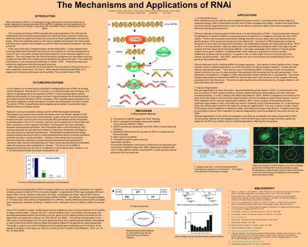 The Mechanisms and Applications of RNAi Gwendolyn Bishop, Mary Pham, Everett Oliver, Rebecca Smith, Sabbie Sandhu, Ashley Wong University of Maryland,