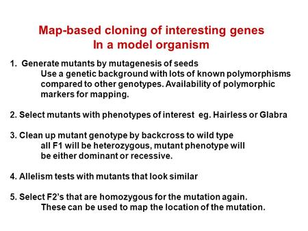 1.Generate mutants by mutagenesis of seeds Use a genetic background with lots of known polymorphisms compared to other genotypes. Availability of polymorphic.