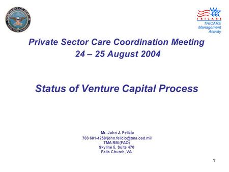 1 Private Sector Care Coordination Meeting 24 – 25 August 2004 Status of Venture Capital Process Mr. John J. Felicio 703