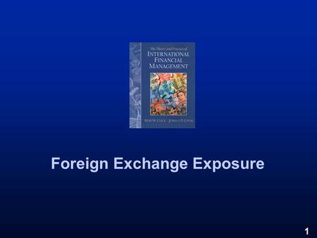 Foreign Exchange Exposure