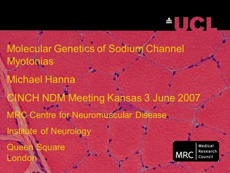 Molecular Genetics of Sodium Channel Myotonias Michael Hanna