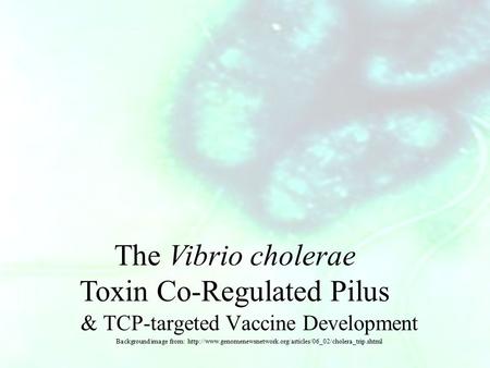 & TCP-targeted Vaccine Development Background image from:  The Vibrio cholerae Toxin.