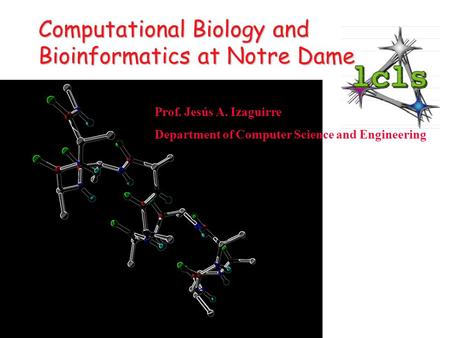 Prof. Jesús A. Izaguirre Department of Computer Science and Engineering Computational Biology and Bioinformatics at Notre Dame.