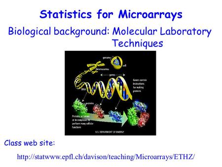 Statistics for Microarrays