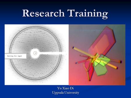 Research Training Yu Xiao Di Uppsala University. Chaperone A protein that helps other proteins to fold. Molecular chaperones do not specify the tertiary.