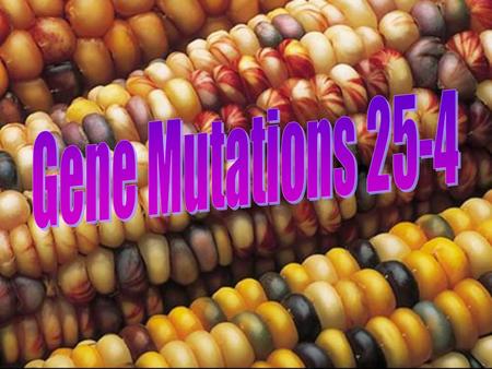 GENETICS Genetics is the study of the transmission of things from one generation to the next Genetic characteristics of a population can change over time.