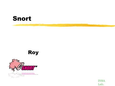 Snort Roy INSA Lab.. Outline What is “ Snort ” ? Working modes How to write snort rules ? Snort plug-ins It ’ s show time.