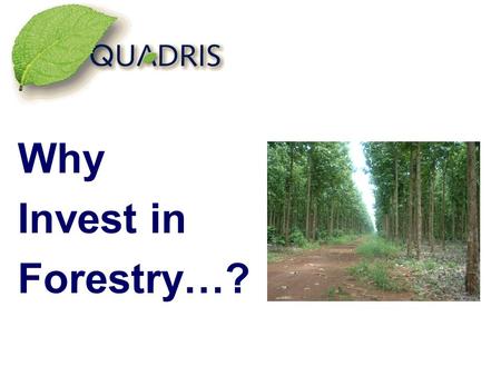 Why Invest in Forestry…?. Woodlands have been a sound investment for centuries.