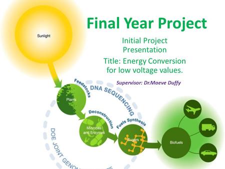 Final Year Project Initial Project Presentation