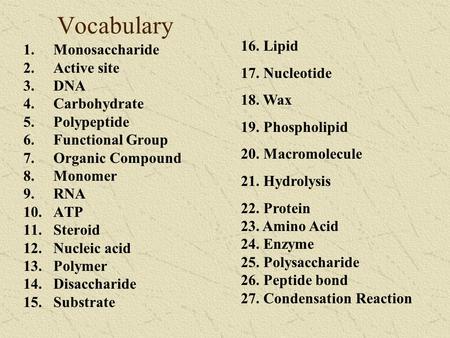 Vocabulary 16. Lipid Monosaccharide 17. Nucleotide Active site DNA