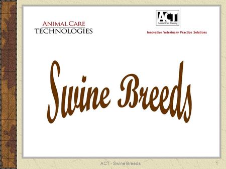 ACT - Swine Breeds1. 2 Hampshire These hogs are black with a white belt that extends from one front leg, over the shoulder, and down the other front leg.