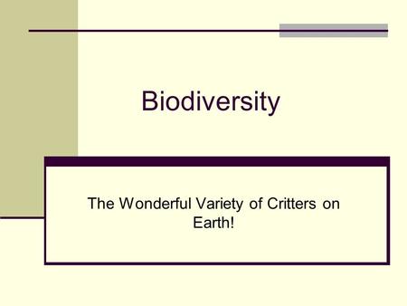 The Wonderful Variety of Critters on Earth!