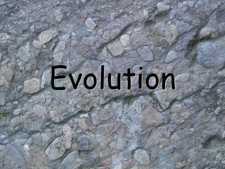 Evolution. Evolution, n. [L. evolutio - an unrolling] 1: a process of change in a certain direction 2: a theory that the various types of animals and.