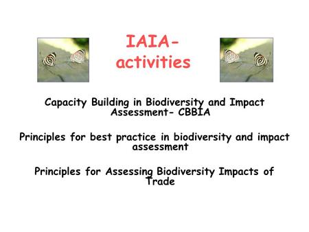 Capacity Building in Biodiversity and Impact Assessment- CBBIA Principles for best practice in biodiversity and impact assessment Principles for Assessing.