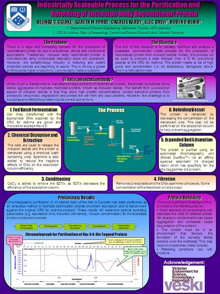 Industrially Scaleable Process for the Purification and Refolding of Inclusion Body Recombinant Protein BELINDA C. CLARKE 1, GARETH M. FORDE 1, CHARLES.