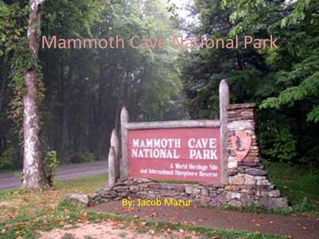 Mammoth Cave National Park