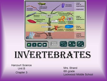 Harcourt Science Unit B Chapter 3