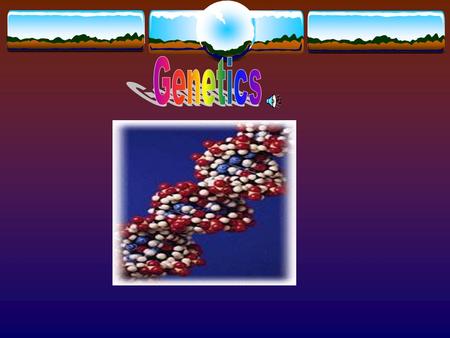 DNA- DNA is in your blood and it is everywhere in your body. It makes you, you. DNA makes us different from everyone else.DNA can be used to identify.