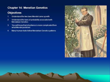 Chapter 14: Menelian Genetics Objectives 1.Understand the two laws Mendel came up with 2.Understand the laws of probability associated with Mendalian Genetics.