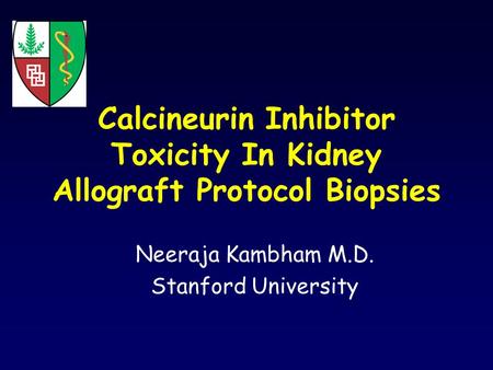 Calcineurin Inhibitor Toxicity In Kidney Allograft Protocol Biopsies Neeraja Kambham M.D. Stanford University.