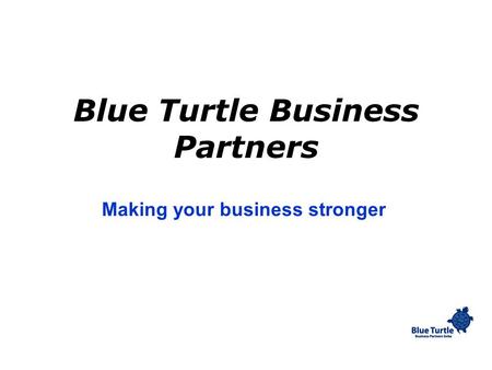 Blue Turtle Business Partners Making your business stronger.