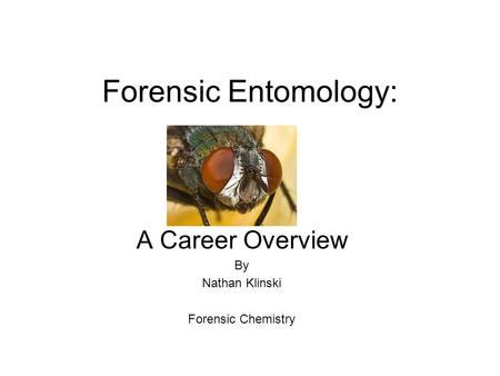 Forensic Entomology: A Career Overview By Nathan Klinski Forensic Chemistry.