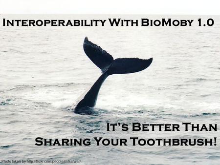 Photo taken by  Interoperability With BioMoby 1.0 It’s Better Than Sharing Your Toothbrush!