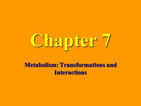 Metabolism: Transformations and Interactions