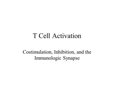 Costimulation, Inhibition, and the Immunologic Synapse