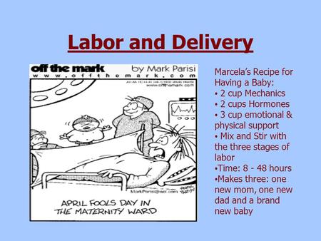 Labor and Delivery Marcela’s Recipe for Having a Baby: 2 cup Mechanics 2 cups Hormones 3 cup emotional & physical support Mix and Stir with the three stages.