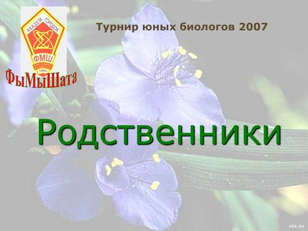 Турнир юных биологов 2007 Родственники. Человек – хоть будь он трижды гением, Остается мыслящим растением. С ним в родстве деревья и трава. Не стыдитесь.