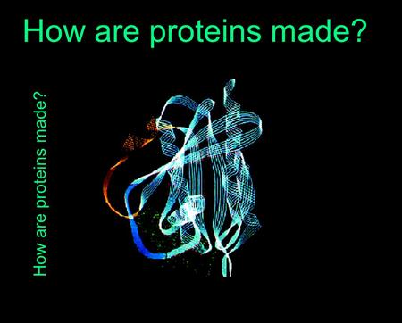 How are proteins made? How are proteins made?.