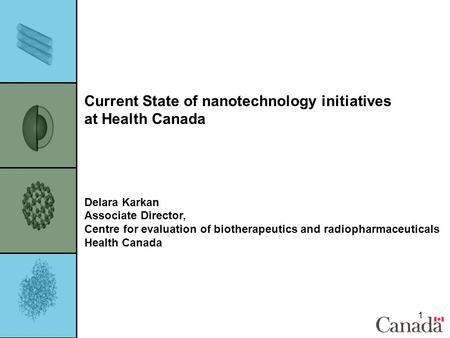 1 Current State of nanotechnology initiatives at Health Canada Delara Karkan Associate Director, Centre for evaluation of biotherapeutics and radiopharmaceuticals.