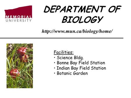 DEPARTMENT OF BIOLOGY Facilities: Science Bldg. Bonne Bay Field Station Indian Bay Field Station Botanic Garden