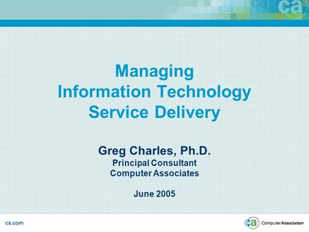 Managing Information Technology Service Delivery