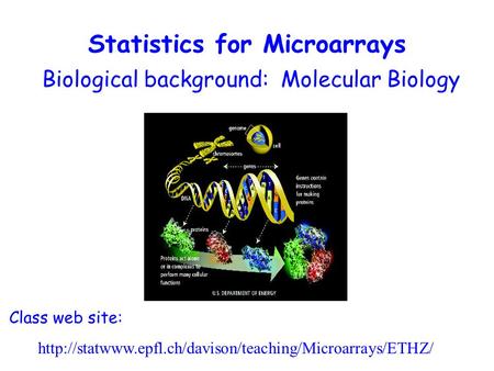 Biological background: Molecular Biology Class web site:  Statistics for Microarrays.