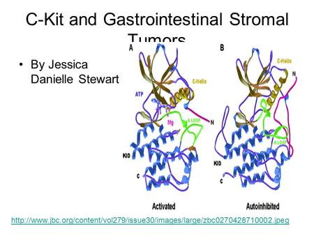 C-Kit and Gastrointestinal Stromal Tumors By Jessica Danielle Stewart