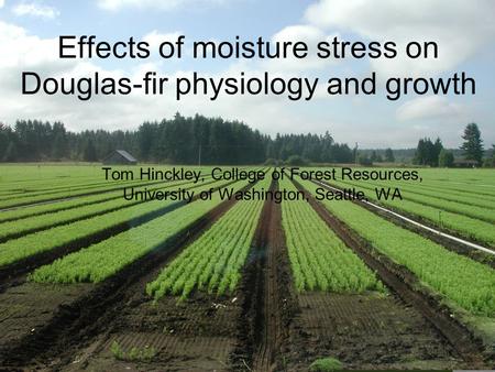 Effects of moisture stress on Douglas-fir physiology and growth Tom Hinckley, College of Forest Resources, University of Washington, Seattle, WA.