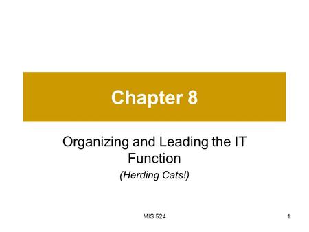 MIS 5241 Chapter 8 Organizing and Leading the IT Function (Herding Cats!)