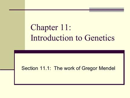 Chapter 11: Introduction to Genetics