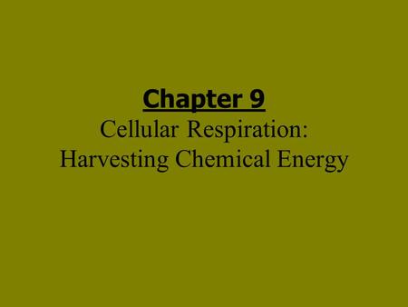 Chapter 9 Cellular Respiration: Harvesting Chemical Energy