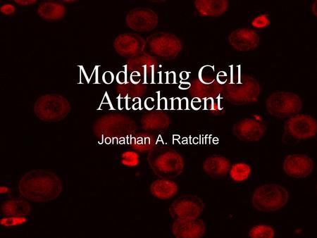 Modelling Cell Attachment Jonathan A. Ratcliffe Outline Aims Theory Imaging Image Processing Comparison to SEM Conclusions Future work.